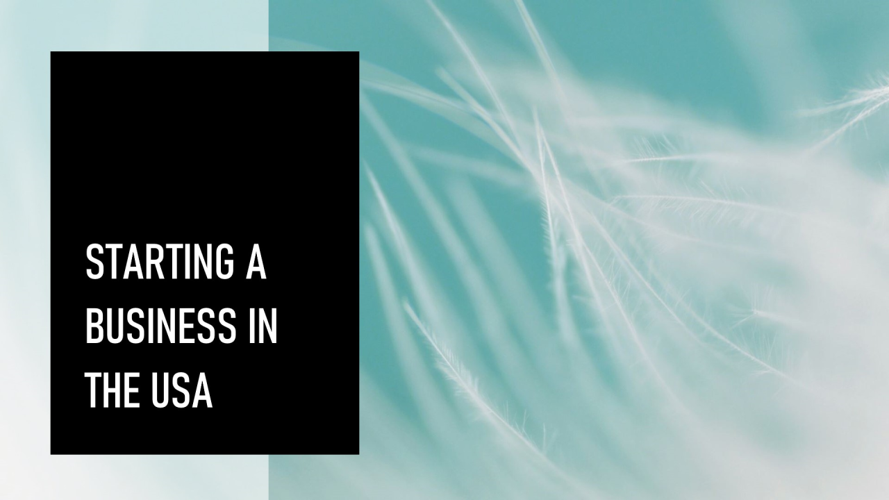Starting a business in the USA: Which entity structure is right for your business?
